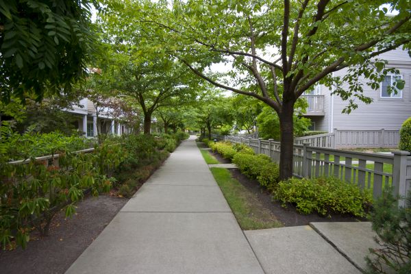 Pathway Elevation